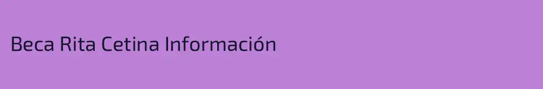 Beca Rita Cetina Información